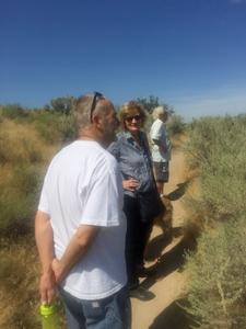 image OutForAwalk2017.jpg 